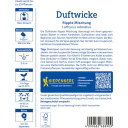 Kiepenkerl Duftwicke Ripple Mischung - 1 Pkg