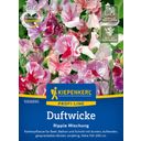 Kiepenkerl Duftwicke Ripple Mischung - 1 Pkg