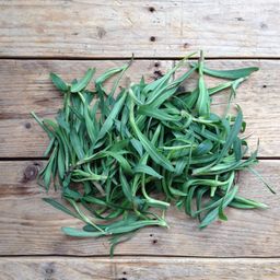 Piccolo Seeds Set di Semi - Foraging Wild Herbs