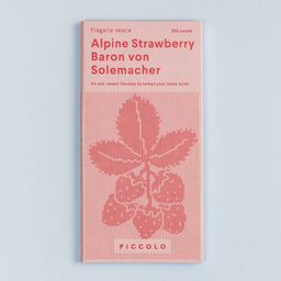 Piccolo Seeds Fragola di Bosco - Baron von Solemacher