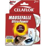 SUBSTRAL® Celaflor® Kunststoff-Mausefalle "Ultra Power"