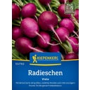 Kiepenkerl Radieschen Viola - 1 Pkg