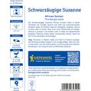 Kiepenkerl Schwarzäugige Susanne African Sunset - 1 Pkg