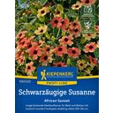 Kiepenkerl Schwarzäugige Susanne African Sunset - 1 Pkg