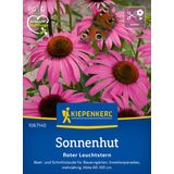 Kiepenkerl Echinacea "Roter Leuchtstern"