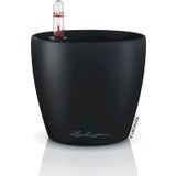 Lechuza Vaso - CLASSICO Color 12