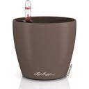 CLASSICO Color 12 Planter, nutmeg