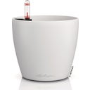 Lechuza CLASSICO Color 14 Planter - white