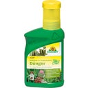 Neudorff Azet Engrais pour Cactus & Succulentes - 250 ml