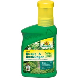 Neudorff Azet Buxus- & Ilexdünger - 250 ml