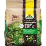 Neudorff Soil for Green Plants & Palms