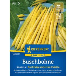 Kiepenkerl Bush Beans Sonesta - 1 Pkg