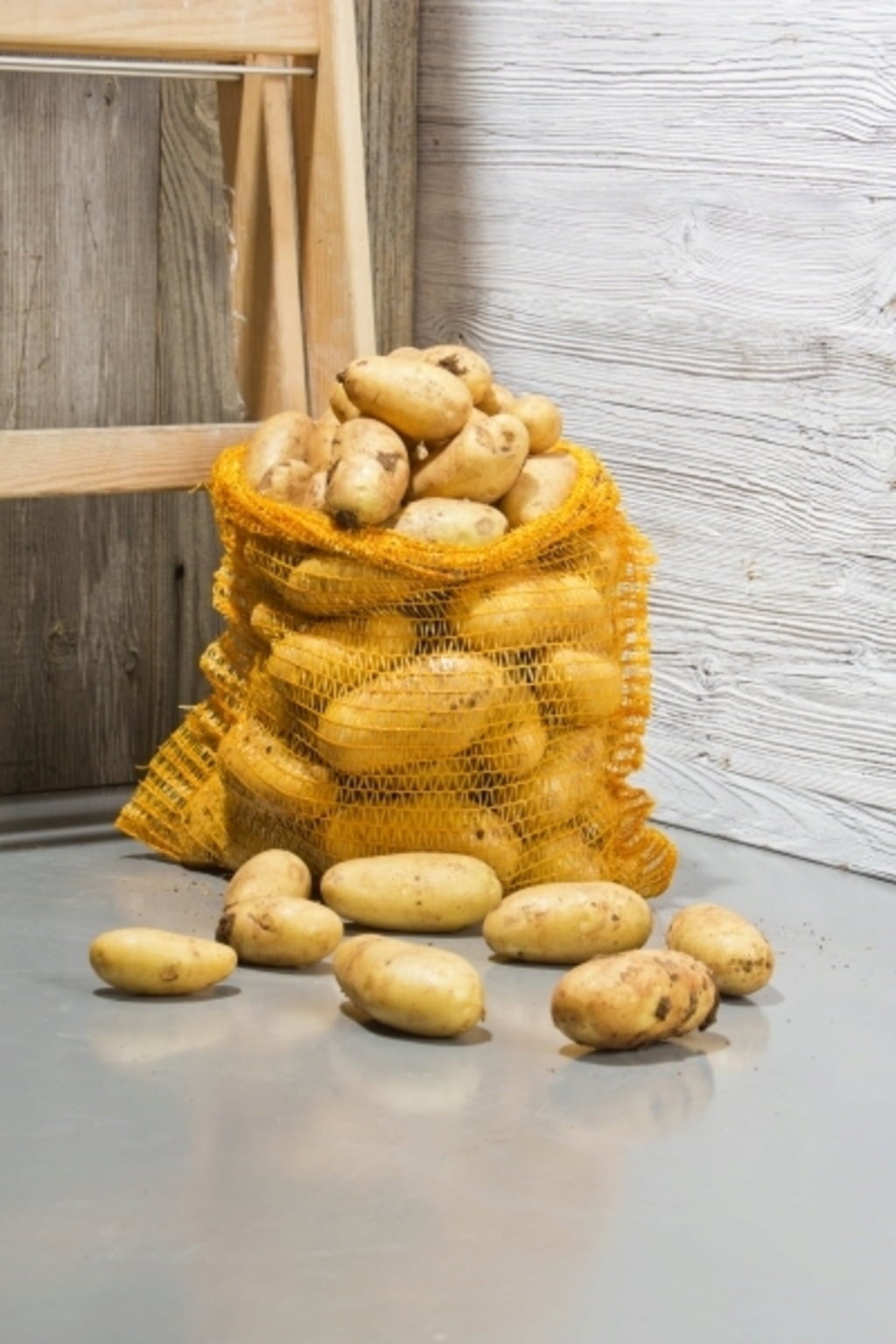 Windhager Net Sack - 50 x 80 cm (10 pcs.)