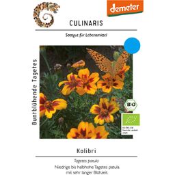 Culinaris Tagetes Patula - Kolibrie - 1 Verpakking