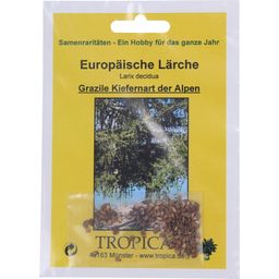 TROPICA European Larch