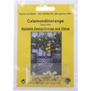 TROPICA Calamondin 