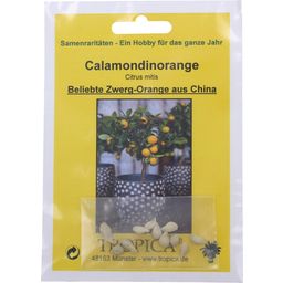 TROPICA Calamondin 