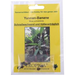 TROPICA Yunnan Banana