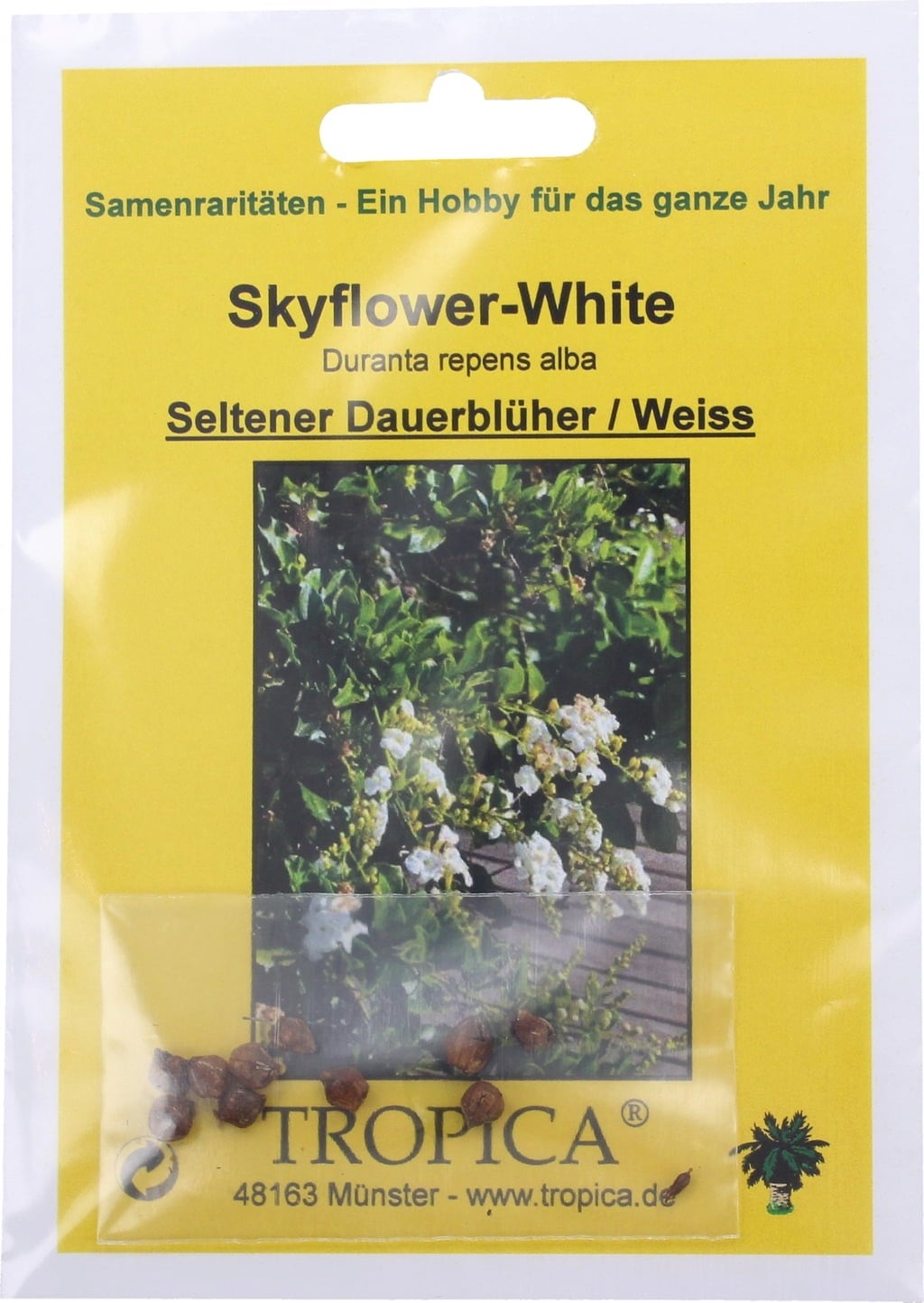 TROPICA Skyflower-White