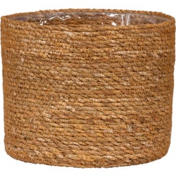 Scheurich Seagrass Planter - Ø 17 cm