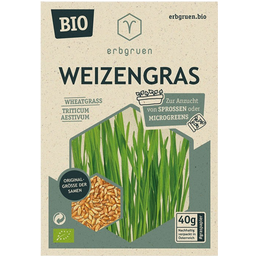 Organic Seeds for Microgreens/Sprouts - Wheatgrass