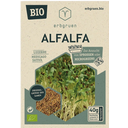 Organic Seeds for Microgreens/Sprouts - Alfalfa