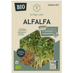 Organic Seeds for Microgreens/Sprouts - Alfalfa