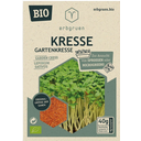 Organic Seeds for Microgreens/Sprouts - Garden Cress