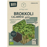 Broccoli Calabrese - BIOLOGISCHE Microgroenten/Kiemzaden