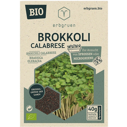 Organic Seeds for Microgreens/Sprouts - Broccoli Calabrese