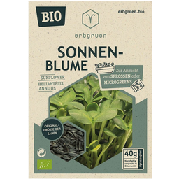 Zonnebloem - BIOLOGISCHE Microgroenten/Kiemzaden