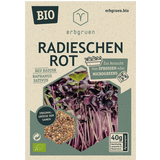 Radijzen Rood - BIOLOGISCHE Microgroenten/Kiemzaden