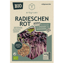 Radijzen Rood - BIOLOGISCHE Microgroenten/Kiemzaden