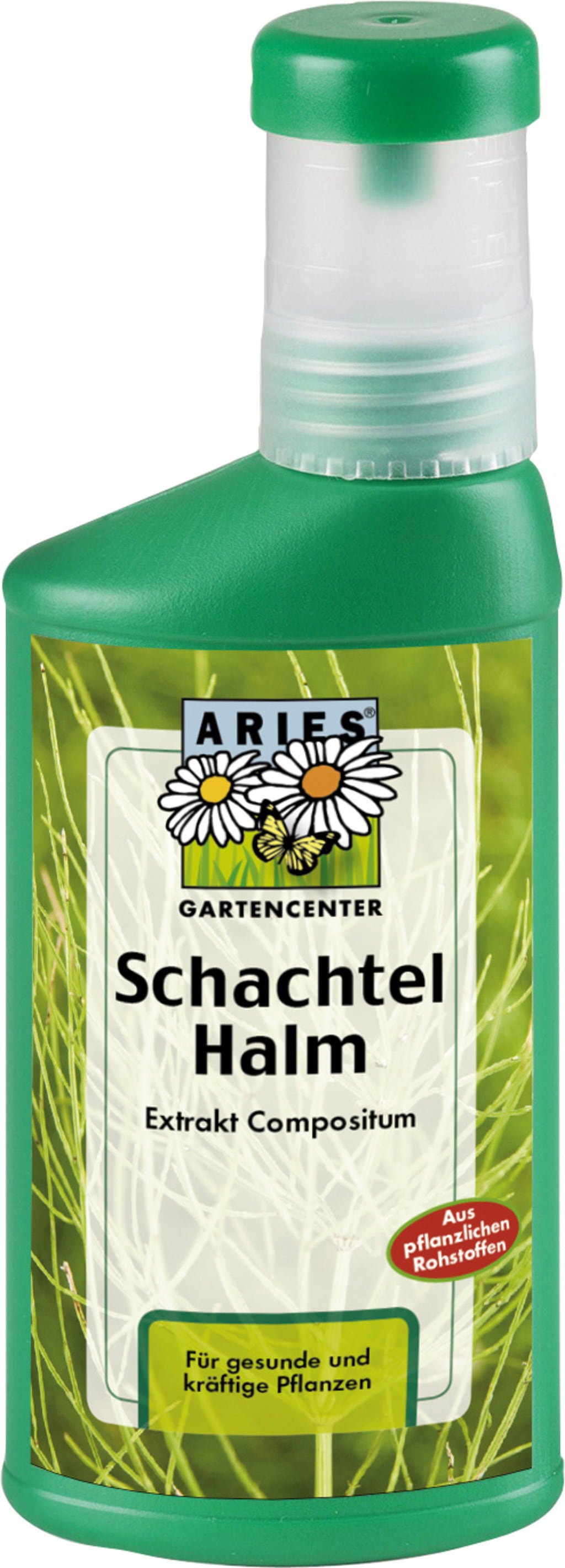 Aries Schachtelhalm