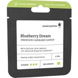 Cannabis Samen - Blueberry Dream | Autoflowering