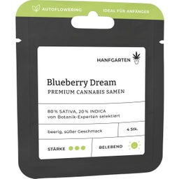 Cannabis Samen - Blueberry Dream | Autoflowering - 1 Pkg