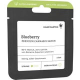 Cannabis Samen - Blueberry | Autoflowering