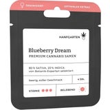 Cannabis Samen - Blueberry Dream | Feminisiert