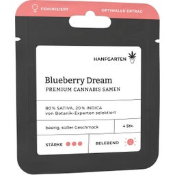 Cannabis Samen - Blueberry Dream | Feminisiert - 1 Pkg