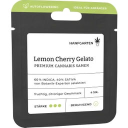 Cannabis Samen - Lemon Cherry Gelato | Autoflowering - 1 Pkg