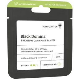 Cannabis Samen - Black Domina | Autoflowering - 1 Pkg