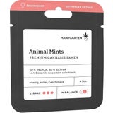 Cannabis Samen - Animal Mints | Feminisiert