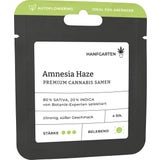 Cannabis Samen - Amnesia Haze | Autoflowering