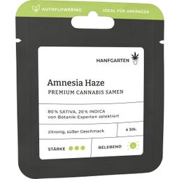 Cannabis Samen - Amnesia Haze | Autoflowering - 1 Pkg