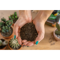 Lechuza Cactus PON Substrate