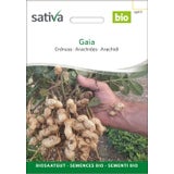 Sativa Jordnöt "Gaia" Ekologisk