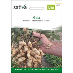 Sativa Cacahuete Bio “Gaia”