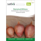 Sativa Lök "Ramata di Milano" Ekologisk