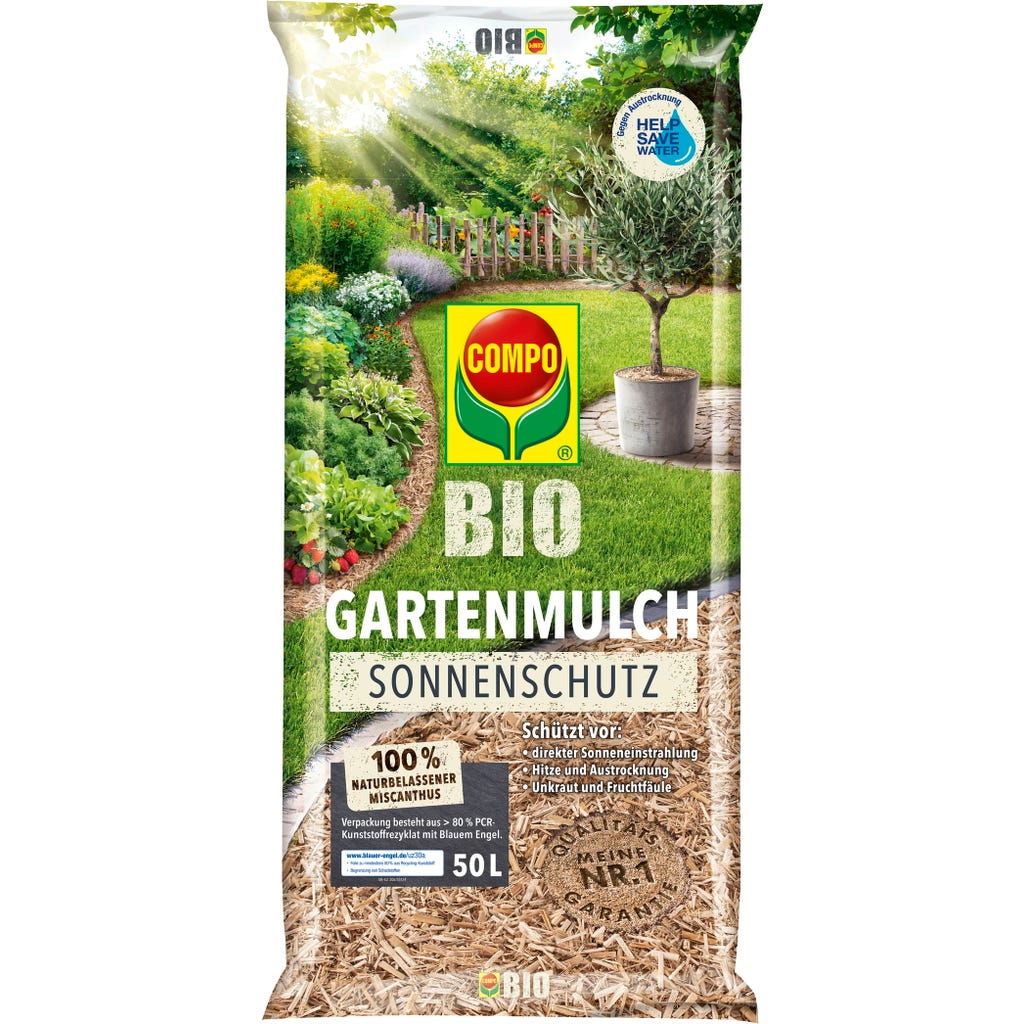 chicoree saatgut Saatgut Chicoree 'Barbe de Capucin' - Cichorium intybus barbe de capucin