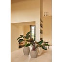 elho june split high Planter 46 cm - Balanced Beige